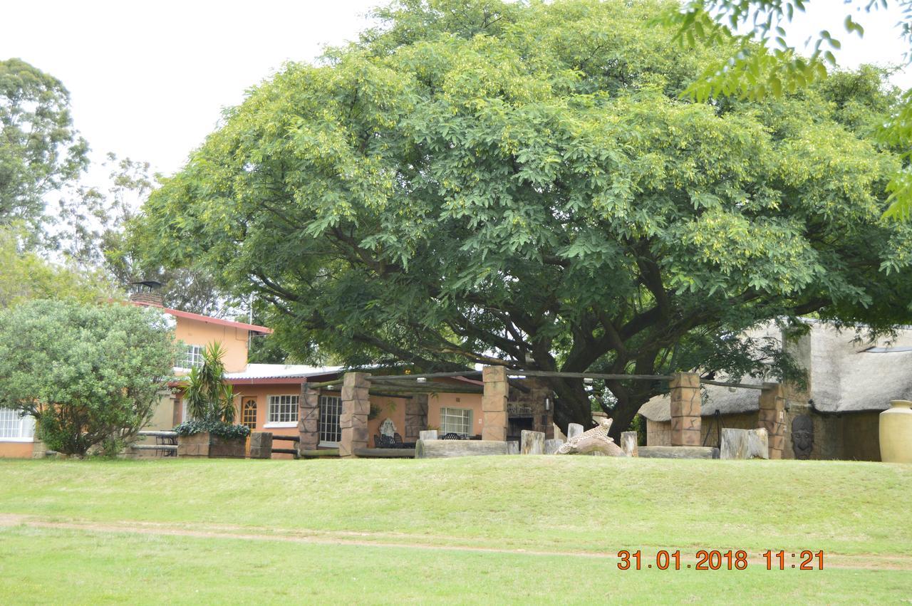 Anna Boeremeisie Guesthouse بينوني المظهر الخارجي الصورة